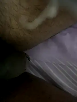 Snapshot of Jordy921 chatting on September 22, 2025, 1:50 pm Jordy921 online show from September 22, 2025, 1:50 pm