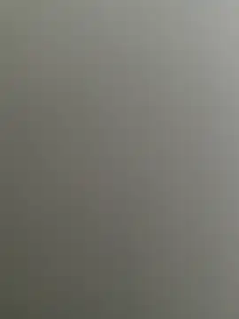 Bull8 online show from February 26, 2025, 9:33 am