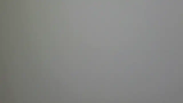 WetFlower69 online show from February 16, 2025, 3:27 pm
