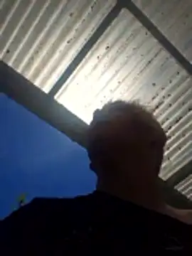 PinkTheHawk online show from December 14, 2025, 10:37 pm