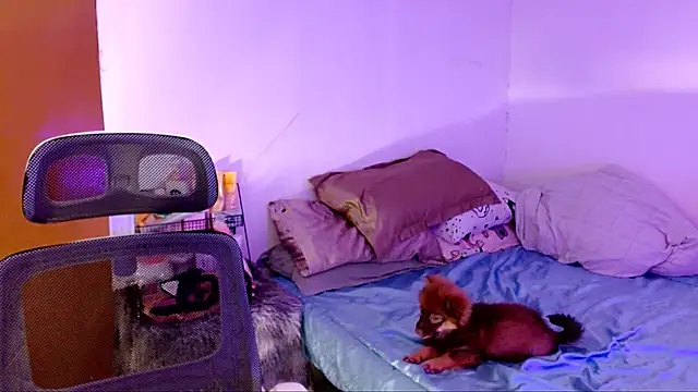 Snapshot of SweetLilly_18 chatting on November 2, 2025, 2:22 pm SweetLilly 18 online show from November 2, 2025, 2:22 pm