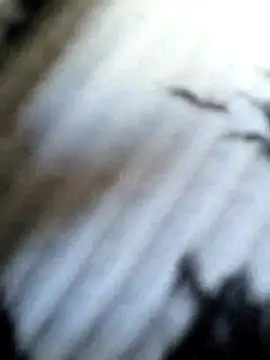 Frost foxy online show from September 12, 2025, 3:39 am