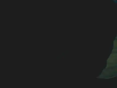 Latinjim29 online show from December 15, 2025, 11:42 pm