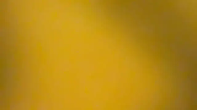 Snapshot of fmodel chatting on January 3, 2025, 3:44 pm fmodel online show from January 3, 2025, 3:44 pm