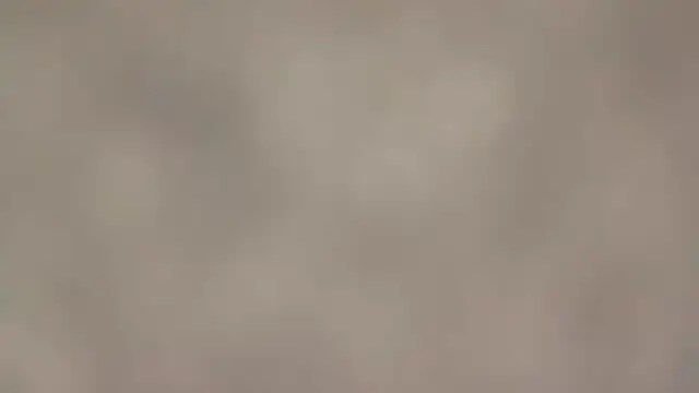 Snapshot of fmodel chatting on September 11, 2025, 1:44 pm fmodel online show from September 11, 2025, 1:44 pm