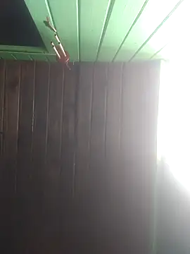 Alvaro2017 online show from February 22, 2026, 6:31 pm