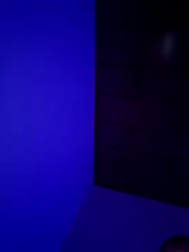 Pavelbure77 online show from February 15, 2026, 12:44 am