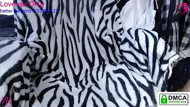 sweet cute cat online show from January 18, 2026, 10:29 am