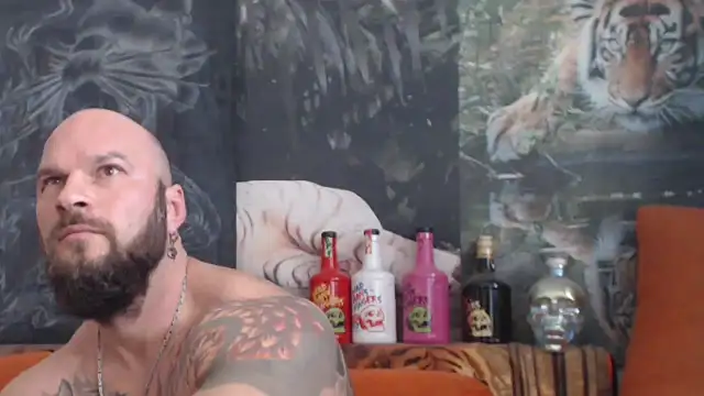 viking 30 online show from October 28, 2025, 11:09 am