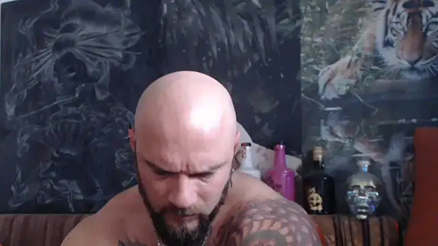 viking 30 online show from November 9, 2025, 7:56 am