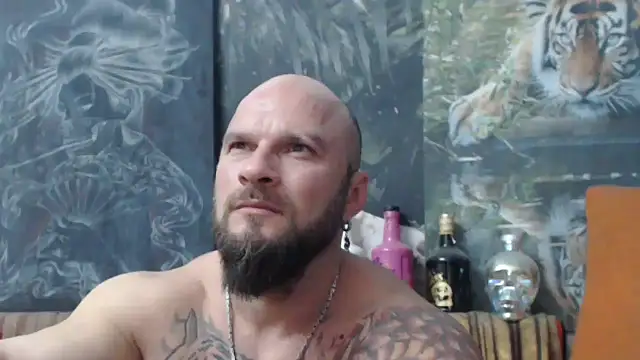 viking 30 online show from November 5, 2025, 8:23 pm