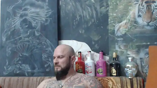 viking 30 online show from November 9, 2025, 8:02 pm