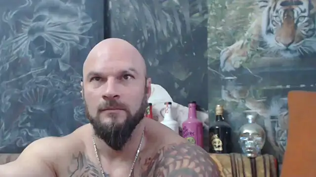 viking 30 online show from November 11, 2025, 7:36 am