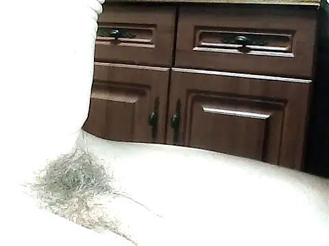 abbysCake online show from March 6, 2025, 5:46 am