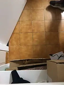 Mindnorthcam2 online show from March 21, 2025, 6:49 am