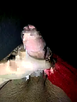 guilherme205 online show from September 18, 2025, 9:45 am