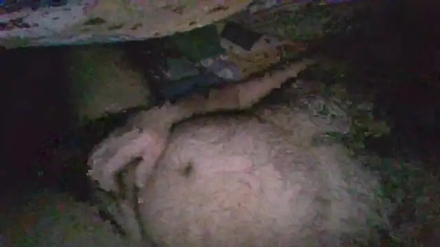 gerilom8787 online show from February 4, 2026, 2:45 pm