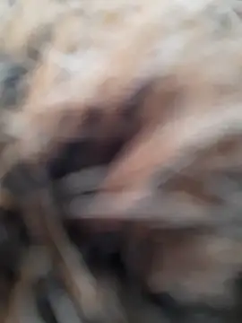 Dirtyfeelin online show from March 22, 2026, 6:59 am