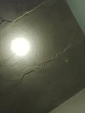 Indianbloom- online show from April 6, 2026, 9:32 am