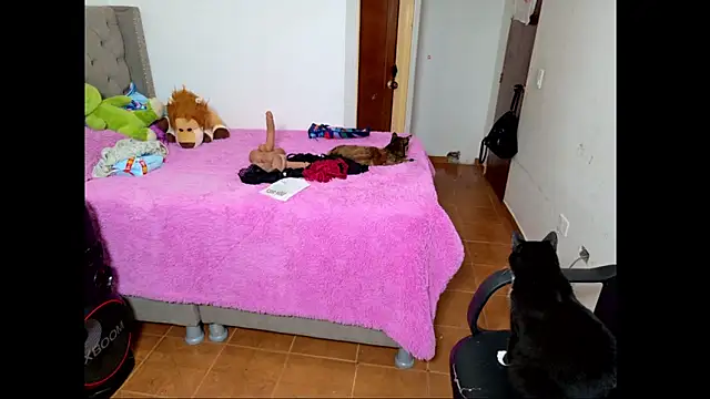 emily honter online show from December 14, 2025, 8:47 pm