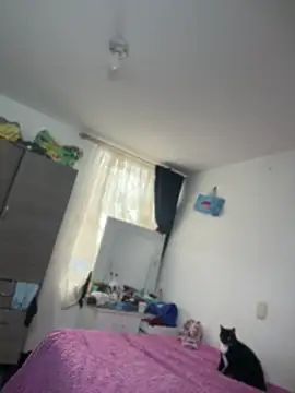 emily honter online show from July 14, 2026, 7:09 pm