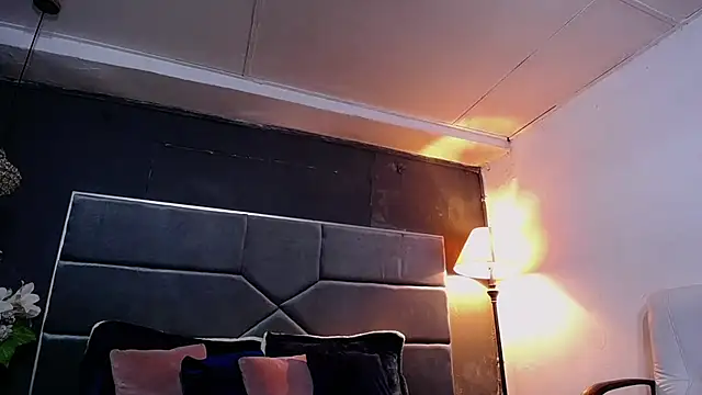 teddyfit19cm online show from October 23, 2025, 1:21 pm