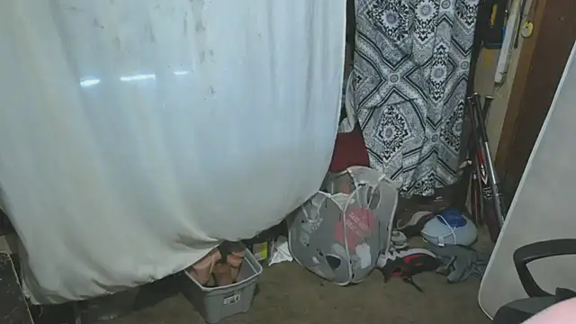 sex4fun 21 online show from April 2, 2026, 11:11 pm