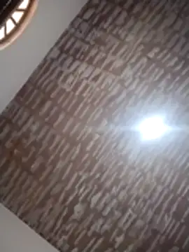 catdool online show from December 14, 2025, 12:22 pm