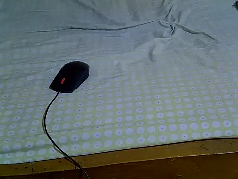 EbonyMina  online show from April 10, 2026, 1:40 pm