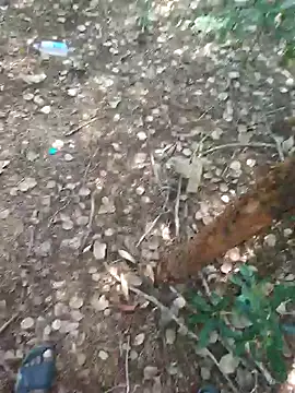 rameshmry1 online show from February 21, 2026, 9:00 am