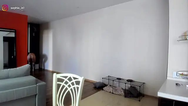  in yan online show from March 16, 2026, 4:31 am