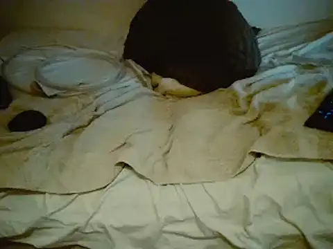 Snapshot of pfagLA chatting on December 14, 2024, 7:29 am pfagLA online show from December 14, 2024, 7:29 am