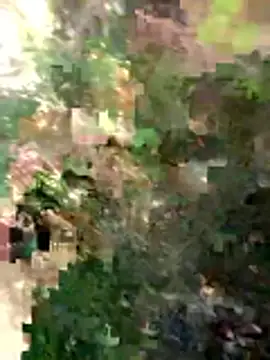 FinableKnee online show from March 26, 2026, 4:44 am