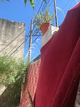 Alicbranca online show from March 15, 2026, 2:35 pm