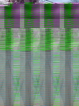 Alicbranca online show from September 17, 2025, 4:42 pm