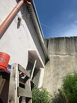 Alicbranca online show from February 26, 2026, 2:06 pm