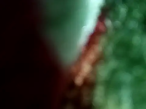 Snapshot of Rittik00 chatting on January 11, 2026, 2:35 pm Rittik00 online show from January 11, 2026, 2:35 pm