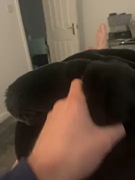 Furdale online show from March 5, 2025, 3:29 pm