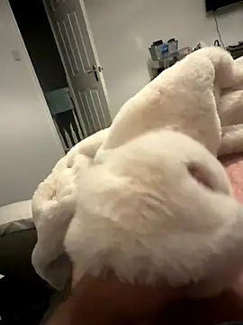 Furdale online show from November 6, 2025, 5:28 pm