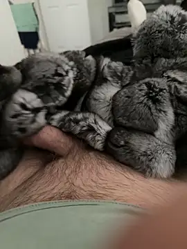 Furdale online show from September 22, 2025, 4:13 pm