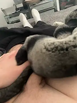 Furdale online show from February 26, 2025, 12:49 pm