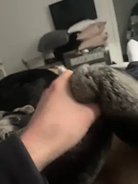 Furdale online show from February 16, 2025, 2:32 pm