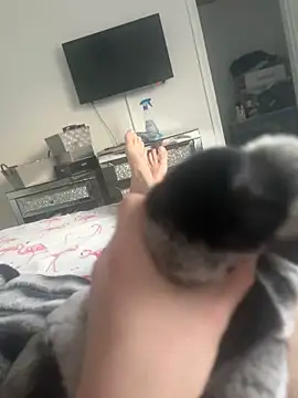 Furdale online show from January 30, 2025, 3:19 pm