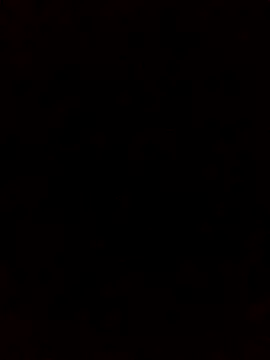 rodovlaz online show from October 5, 2025, 1:24 pm