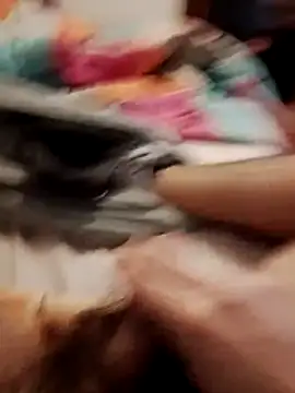 jon763 online show from February 19, 2026, 9:17 am