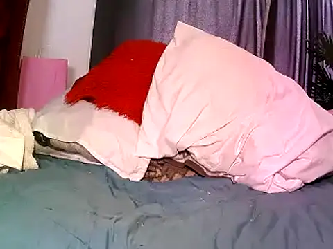 Snapshot of Misswhiteee chatting on September 24, 2025, 12:55 pm Misswhiteee online show from September 24, 2025, 12:55 pm