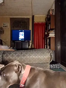 dutra498 online show from March 25, 2026, 4:45 am