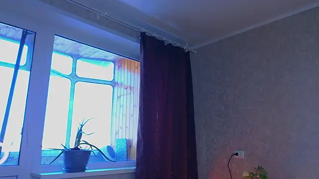 sinteas online show from March 25, 2026, 1:43 pm