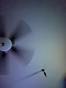 22sexytwin online show from April 10, 2026, 5:36 am