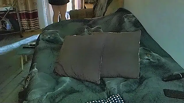 sex2 online show from November 5, 2025, 1:09 am